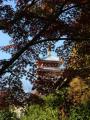 歴史と文化に酔いしれる松戸の秋のお出かけガイド 歴史と文化に酔いしれる松戸の秋のお出かけガイド