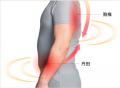 丹田×背中のW力点構造で姿勢をサポート『整体シャツ O