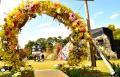 弘前城の秋を彩る「弘前城菊と紅葉まつり」2026年10月