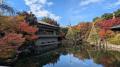 豊島区立目白庭園　秋の庭園ライトアップ『TERASU2026