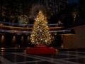 アーク・カラヤン広場にオーセンティックなクリスマス アーク・カラヤン広場にオーセンティックなクリスマス