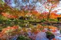 【佐賀県】“真紅の世界に、こころ躍る”　昨年4.6万人
