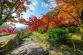 【佐賀県】“真紅の世界に、こころ躍る”　昨年4.6万人