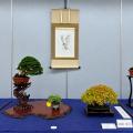 関東最大の小品盆栽展「第34回秋雅展」東京・上野で開 関東最大の小品盆栽展「第34回秋雅展」東京・上野で開