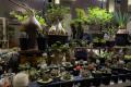 日本最大級の“爬虫類×珍奇植物”マーケットが誕生！『