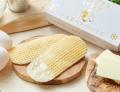 【そごう千葉店】食欲の秋は北海道グルメを満喫