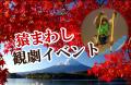 【JAF山梨】伝統芸能「猿まわし」と紅葉を楽しもう! 【JAF山梨】伝統芸能「猿まわし」と紅葉を楽しもう!