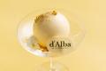 【W大阪】ビューティーブランド「d'Alba」との初のコ
