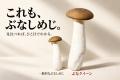 サバ一筋のSABARが、秋のひと月だけ“主役”を譲ります! サバ一筋のSABARが、秋のひと月だけ“主役”を譲ります!