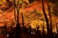 紅葉狩りの後は温泉へ！　秩父湯元 武甲温泉が、長瀞