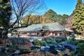 【町田・鶴川】庭園を眺める「喫茶と和食割烹 桜梅桃 【町田・鶴川】庭園を眺める「喫茶と和食割烹 桜梅桃