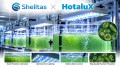 Shelltasとホタルクス、水と光で持続可能な食料生産エ Shelltasとホタルクス、水と光で持続可能な食料生産エ
