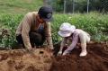 【静岡県伊豆市】「住みやすさの実感と、あたたかな人 【静岡県伊豆市】「住みやすさの実感と、あたたかな人