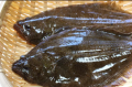 日本の旬漁を楽しむ！秋のお魚料理教室を開催します！