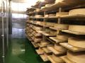 チーズ工房NEEDS、「Japan Cheese Awards 2026」で2部