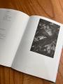 現代アーティスト中北紘子　作品集『The Breath of Si