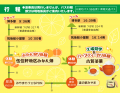 みやま市で楽しむ「山川みかん」狩りとハーブティー作 みやま市で楽しむ「山川みかん」狩りとハーブティー作