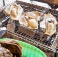 「宇都宮/牡蠣小屋イベント」大人気の出張カキ小屋「