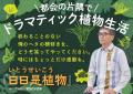 NHK「あさイチ」出演で大反響！いとうせいこう『日日