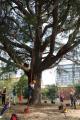 都内最大級の外遊びフェス!Tokyo outside Festiutf-8 都内最大級の外遊びフェス!Tokyo outside Festiutf-8