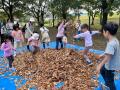 自然発見館のプレーパーク開催します!(国営木曽三川 自然発見館のプレーパーク開催します!(国営木曽三川