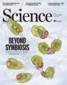 海産微細藻類における窒素固定型シアノバクテリutf-8