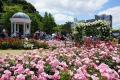【入園無料】約130種類1,300株のバラが5月初旬より開