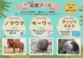 動物たちを学んで応援したい！天王寺動物園のSDGsイベ