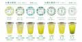 東京駅で茶摘み体験！「推し緑茶」に逢える新感覚体験