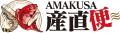【熊本・天草】2024年度『やまと車海老』養殖がスター