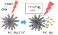 【名城大学・北海道大学】インプラント周囲炎にutf-8