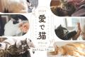 【愛猫のかわいい動画で豪華景品をGET!】7/1(月)から