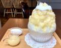 【東京ミッドタウン】暑い夏に食べたくなるひんutf-8