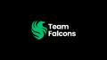 【Team Falcons】からImperialHal、Zer0、Genburtenが