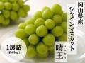 産地直送通販サイト「ＪＡタウン」ショップの「おいし