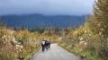 自転車で富士山の隠れた財宝を巡る「裏富士ロングライ