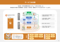 バイザー、自治会・町内会の課題解決を目的とした実証