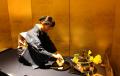 【箱根小涌園 天悠】秋の美食と芸術が誘う感動のutf-8