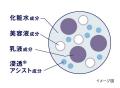 1本で大人の5大肌悩み＊をトータルケア。肌印象を格上