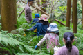 京急×原っぱ大学 共同で法人向けの「森林共創パutf-8