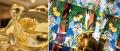 覗き見る愉しみと美の展開　～カレスコグラフィutf-8