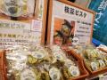 大阪経済法科大学のサークル「やおみらい」が企utf-8