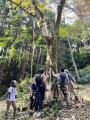 【相模原市】森でゆっくり、じぶん時間「森林浴と里山