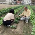 【大阪成蹊大学】経営学部　食ビジネスコースのutf-8