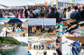 「鯖サミット2024 in 美浜」10月26日(土)、27日(utf-8