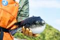 歴史ある若狭小浜の食、自然、文化を満喫！9月21utf-8