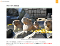 コテージ・貸別荘の集客サイト「ココカシコ」全国のお