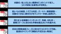 【初稼働】ROMS「ナノ・ソーター」人材会社発3PL企業