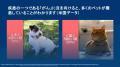 日本ヒルズ 動物病院専売品 製品ライン開発と特utf-8