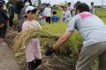 カンセキ創業50周年記念　秋の農業体験イベントを開催